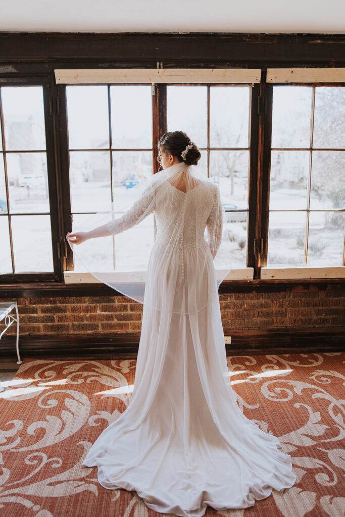 Bridal veil, hairstyle, and dress idea